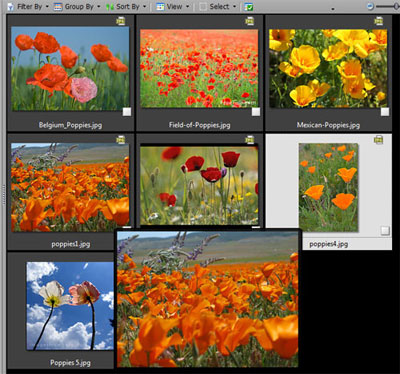 ACDSee Pro 2.5 - специальная версия программы из линейки ACDSee
